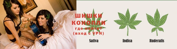 МДПВ Богородицк