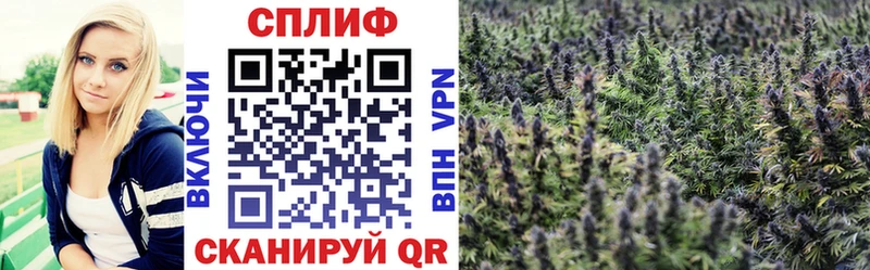 Канабис семена  Мурманск 